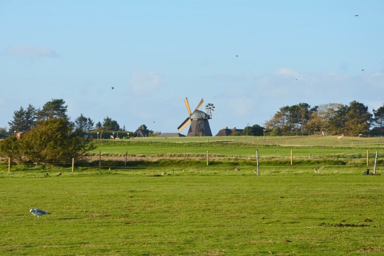 Vakantiehuis in Süddorf auf Amrum, foto 11