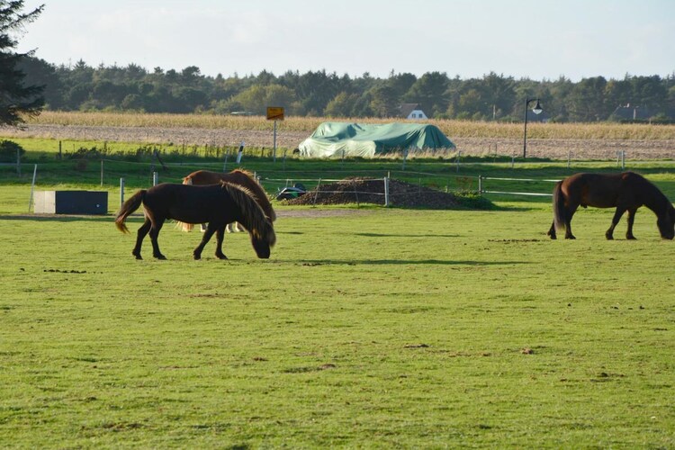 Vakantiehuis in Süddorf auf Amrum, foto 9