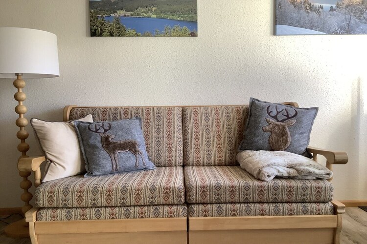 Vakantiehuis in Titisee-Neustadt, foto 5