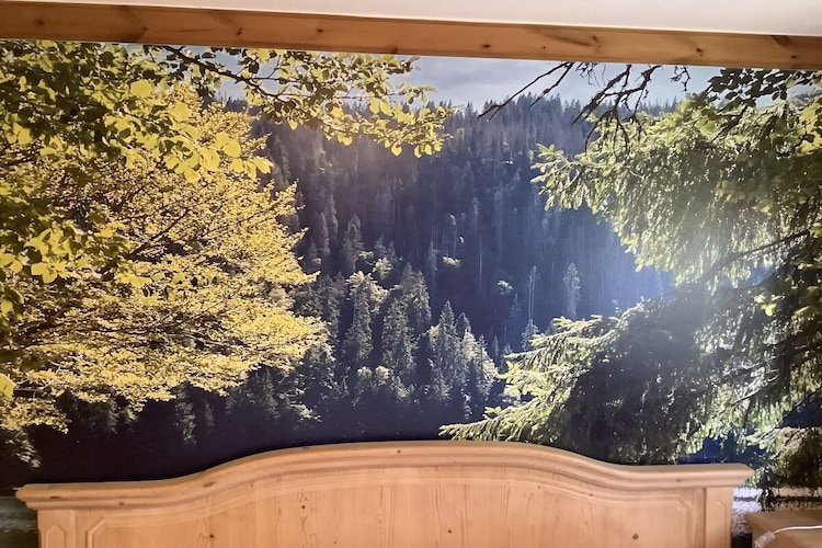 Vakantiehuis in Titisee-Neustadt, foto 13