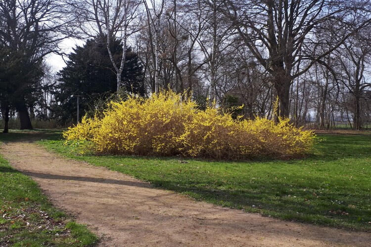 Vakantiehuis in Groß Mohrdorf, foto 15