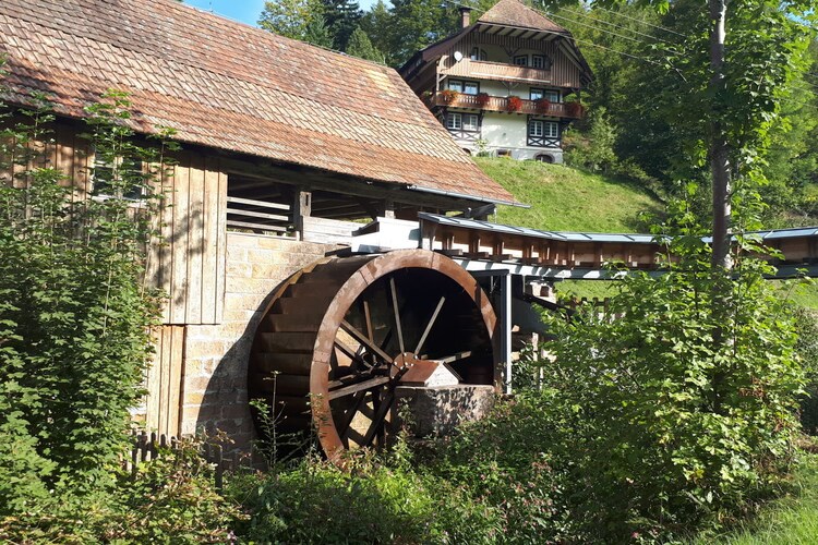 Vakantiehuis in Oberharmersbach, foto 5