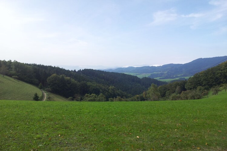 Vakantiehuis in Oberharmersbach, foto 9