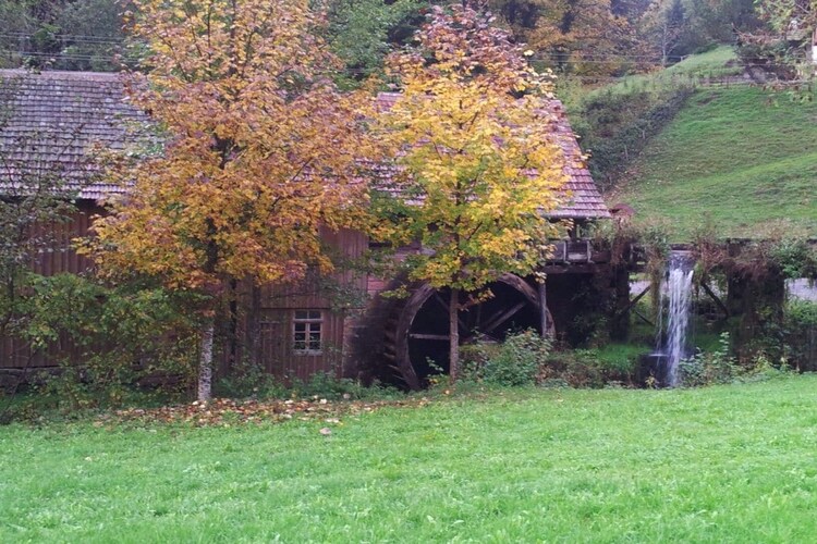 Vakantiehuis in Oberharmersbach, foto 11
