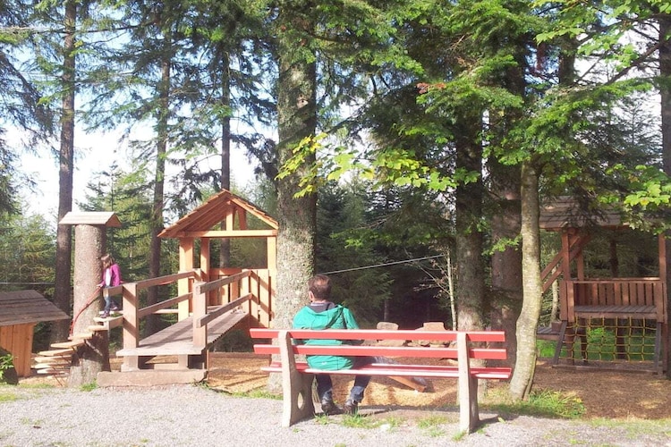 Vakantiehuis in Oberharmersbach, foto 14