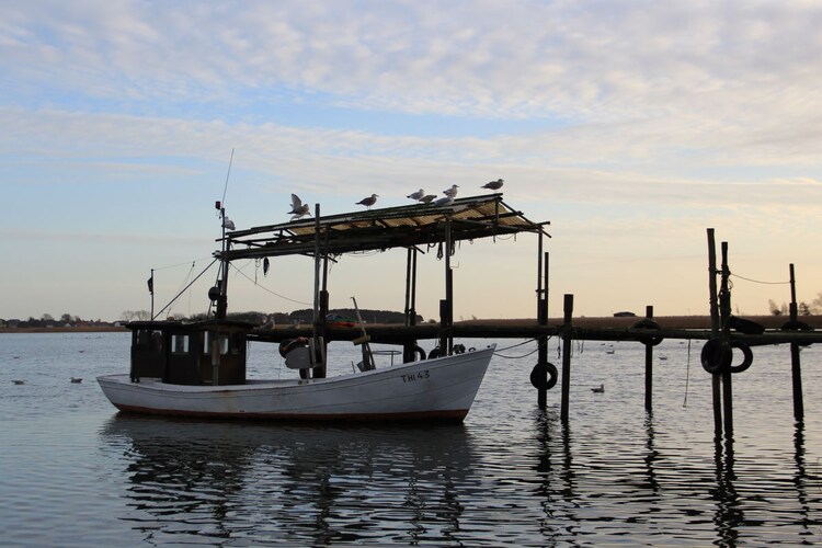 Vakantiehuis in Thiessow, foto 15