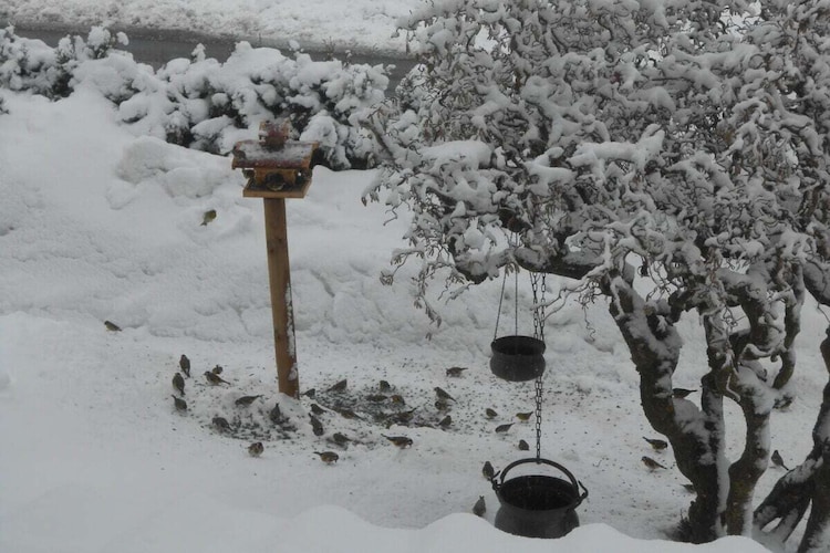 Vakantiehuis in Boebrach, foto 4
