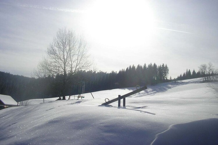 Vakantiehuis in Breitnau, foto 11