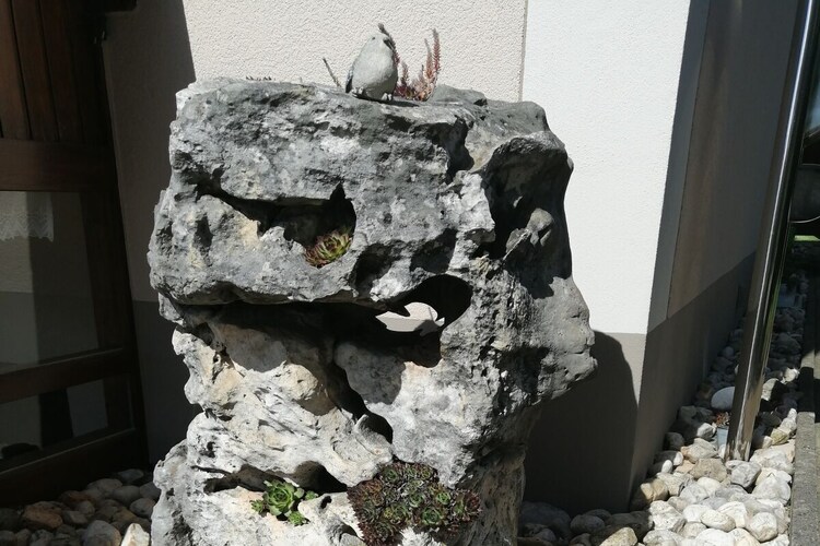 Vakantiehuis in Bergen, foto 5