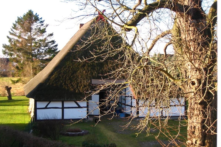 Vakantiehuis in Boltenhagen, foto 13
