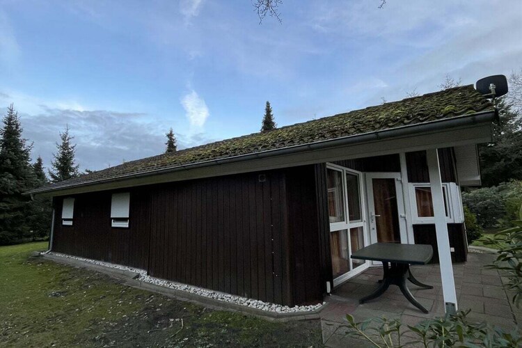Vakantiehuis in Haren, foto 2