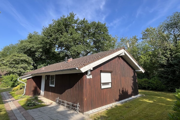 Vakantiehuis in Haren, foto 4
