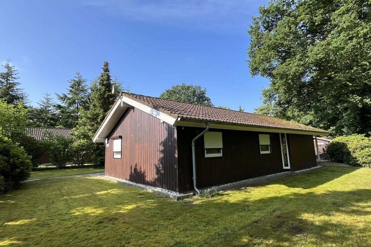 Vakantiehuis in Haren, foto 5