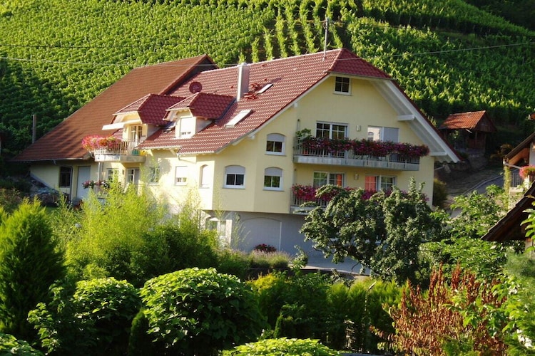 Vakantiehuis in Lautenbach, foto 2