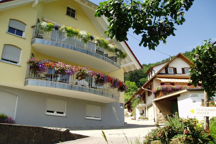 Vakantiehuis in Lautenbach, foto 3