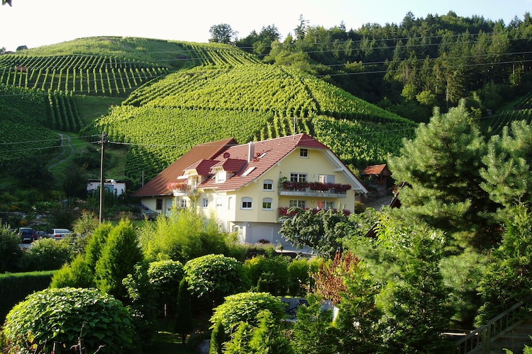 Vakantiehuis in Lautenbach, foto 6