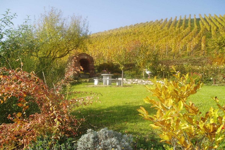 Vakantiehuis in Lautenbach, foto 8