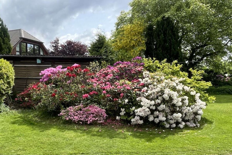 Vakantiehuis in Grebin, foto 4