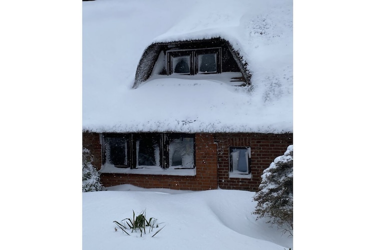 Vakantiehuis in Grebin, foto 6