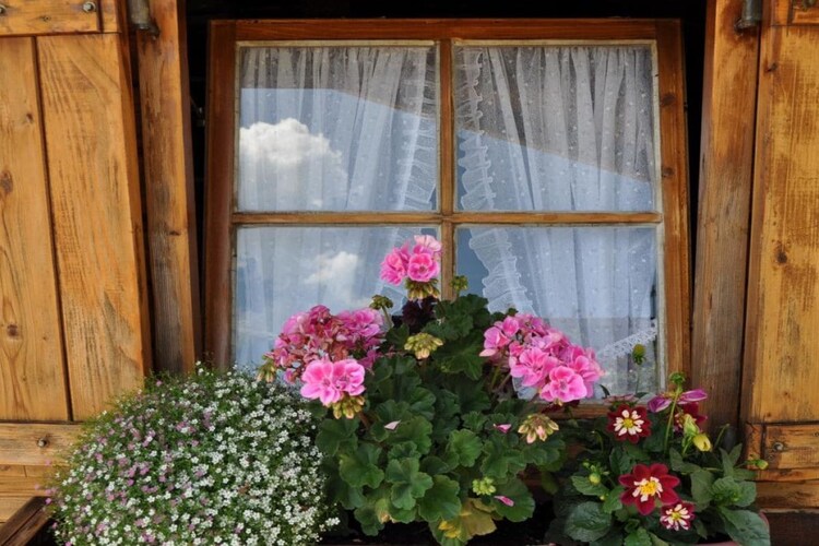 Vakantiehuis in Jungholz, foto 8