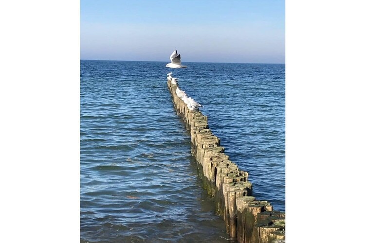 Vakantiehuis in Börgerende, foto 15