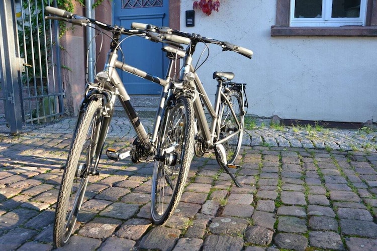 Vakantiehuis in Gaggenau, foto 10