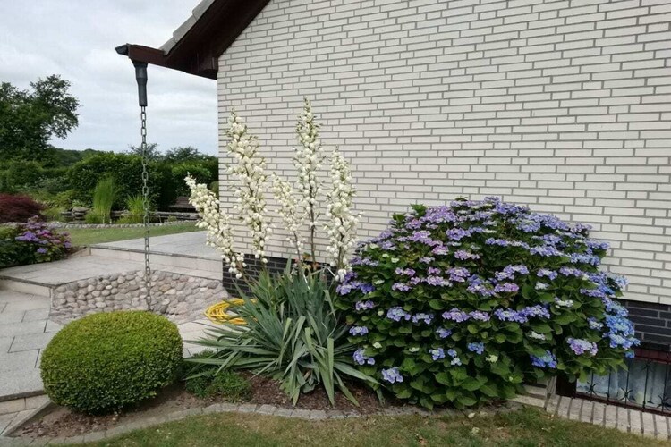 Vakantiehuis in Geesthacht, foto 3