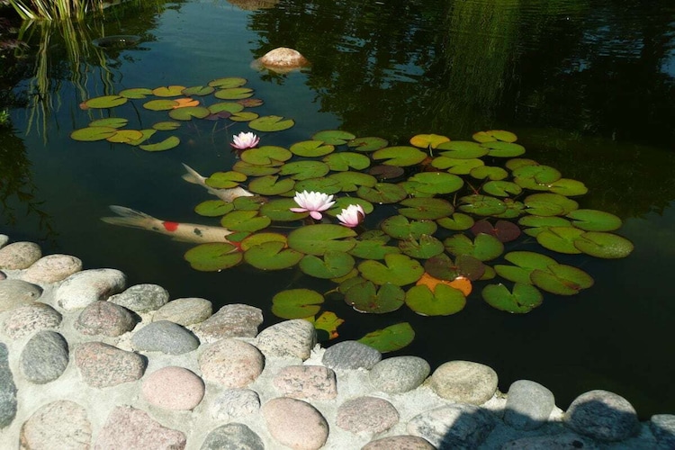 Vakantiehuis in Geesthacht, foto 8