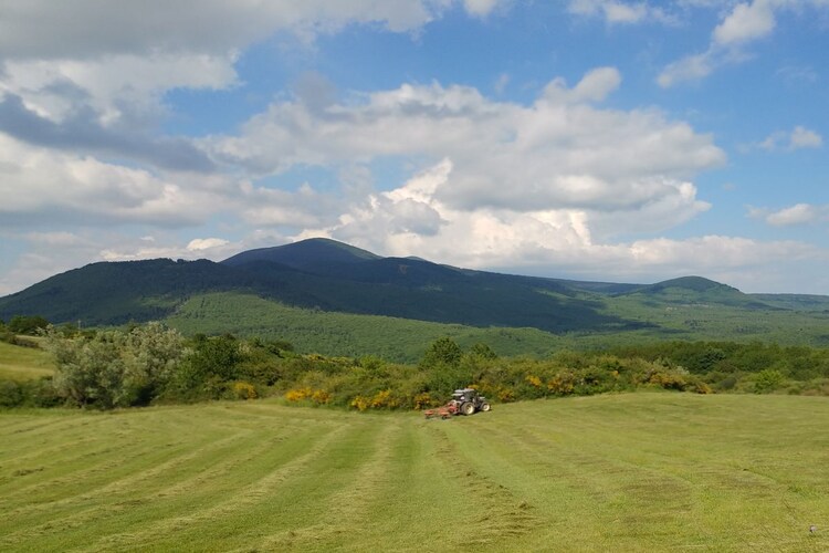 Vakantiehuis in Roccalbegna, foto 15