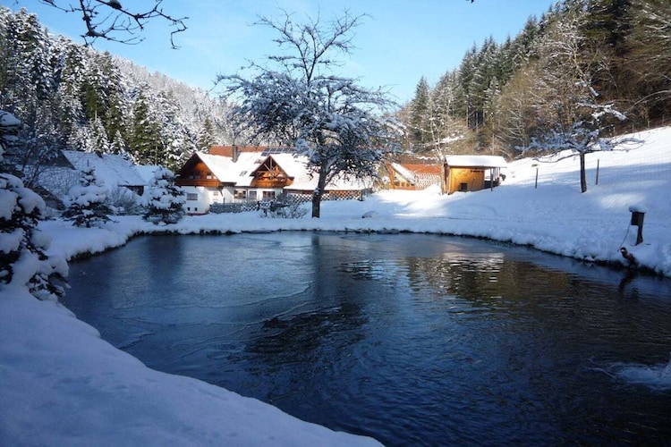 Vakantiehuis in Schiltach, Vorder Lehengericht, foto 3