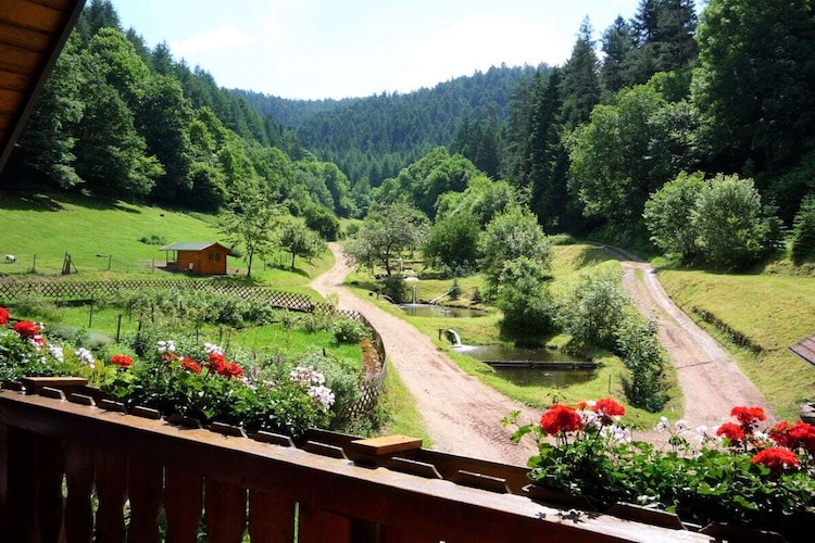 Vakantiehuis in Schiltach, Vorder Lehengericht, foto 4