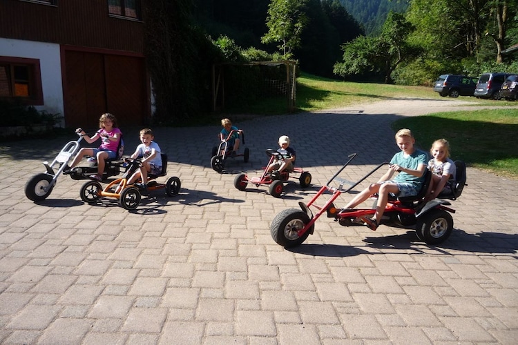 Vakantiehuis in Schiltach, Vorder Lehengericht, foto 14