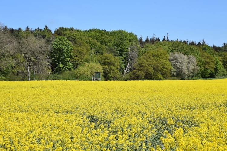 Vakantiehuis in Bad Doberan, foto 9