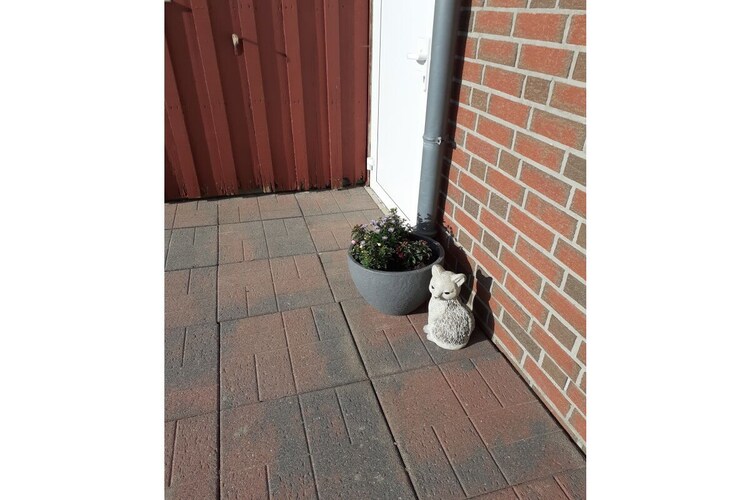 Vakantiehuis in Minsen, foto 5