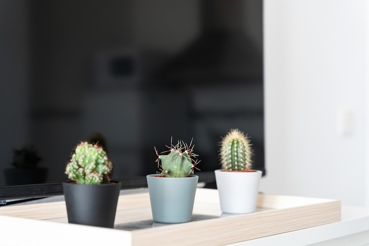 CT 301 - Faro's Fuengirola Centro Studio-Binnen