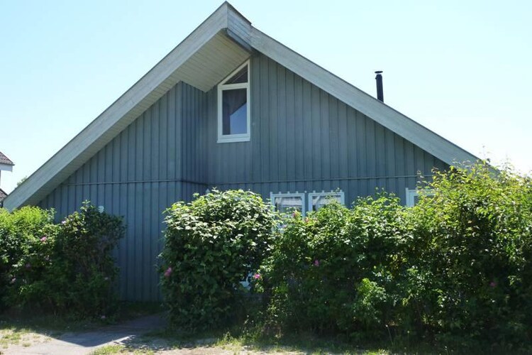 Exterior Summer