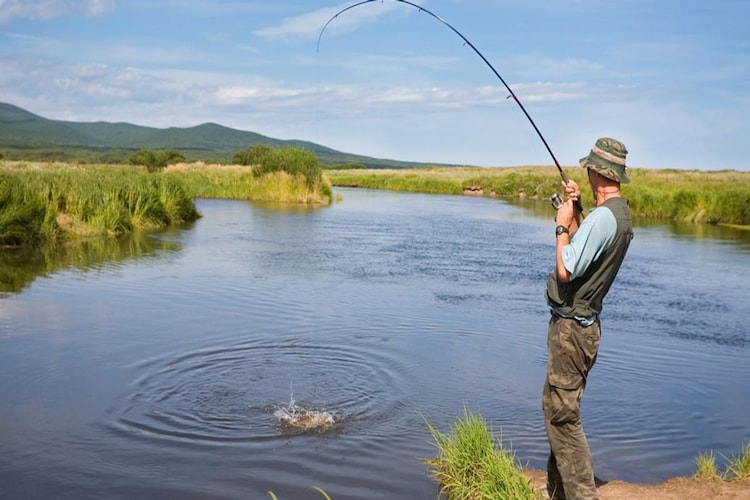 Dom wakacyjny dla 5 osób w Przewozie-Zones été à 5 km
