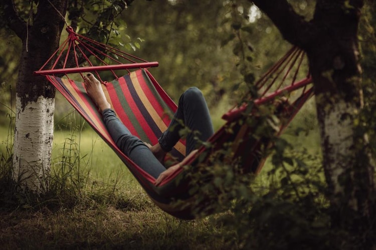 Dom wakacyjny dla 5 osób w Przewozie-Jardins en été