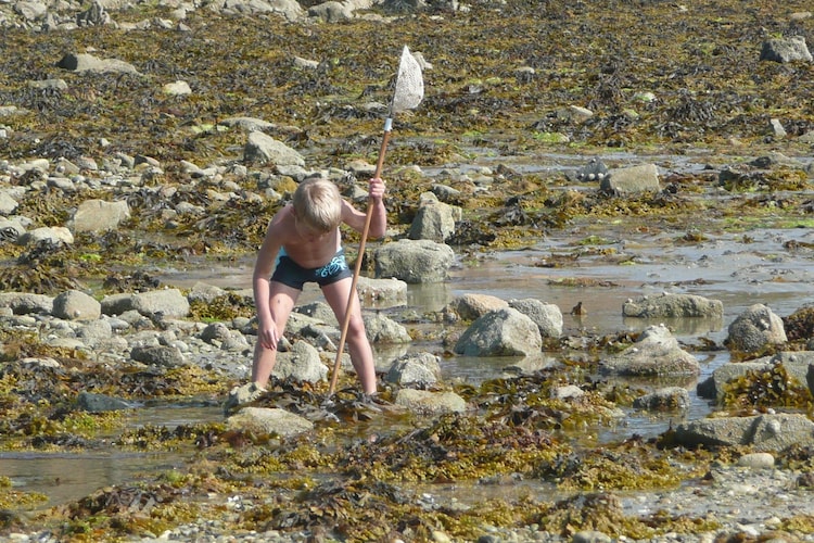   Maison de pêcheur Plougoulm