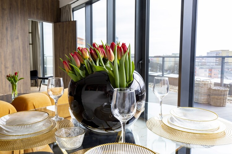 Apartment in Szczecin with Pool and Terrace