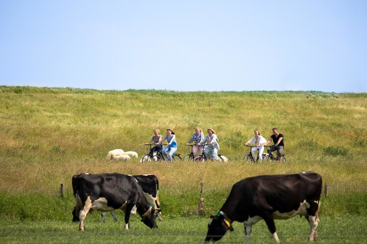 Fewo bis 4 Personen mit Alkoven / Belegung 4 Personen-Gebieden zomer 1km