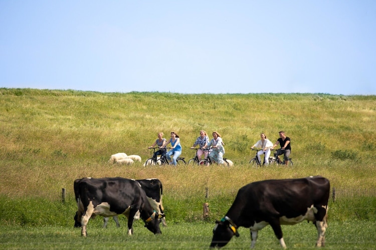 Familienzimmer mit Alkoven / Belegung 3 Personen-Gebieden zomer 1km