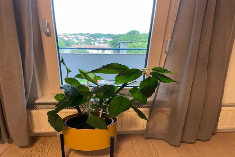 Modern & Charming - Free Private Parking - One Bedroom Apartment-Binnen