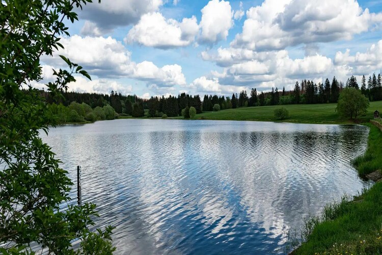 Lodge-Gebieden zomer 1km