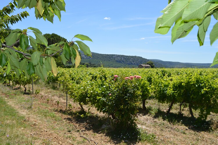 Gite - Lagorce
