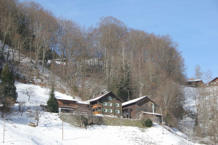 Vakantiehuizen Oostenrijk | Vorarlberg | Appartement te huur in Tschagguns   met wifi 6 personen