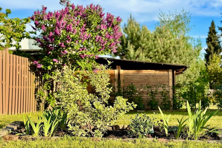 Ferienhaus Havelzeit - 3 Personen-Tuinen zomer