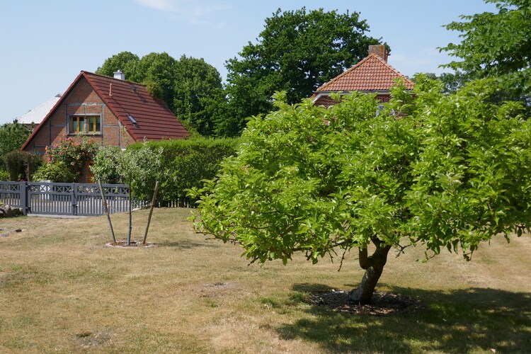 FH Sturmfrei-Tuinen zomer