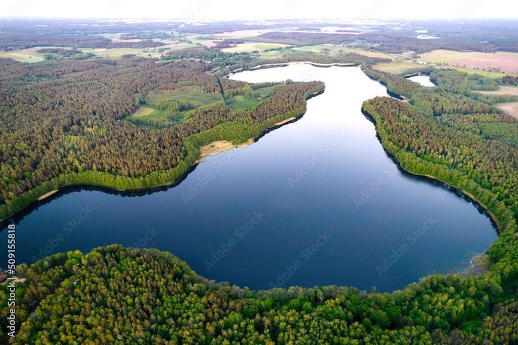 	Domek wakacyjny LAWENDA dla max 4 osób Grąbczyn-Gebieden zomer 1km