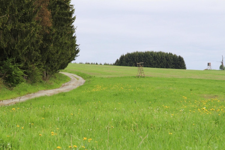 Hexenzauber I und II-Tuinen zomer